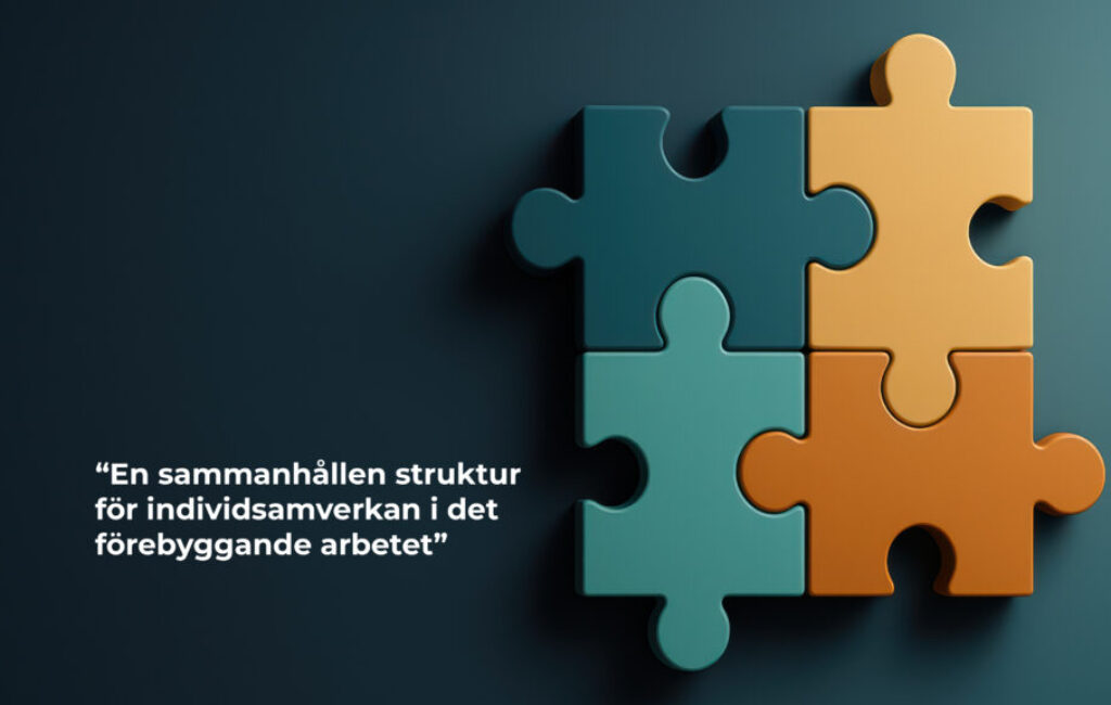 linkan SIT Rapport 2