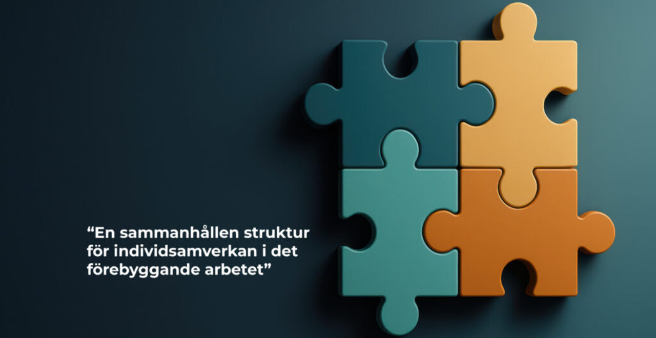 linkan SIT Rapport 2